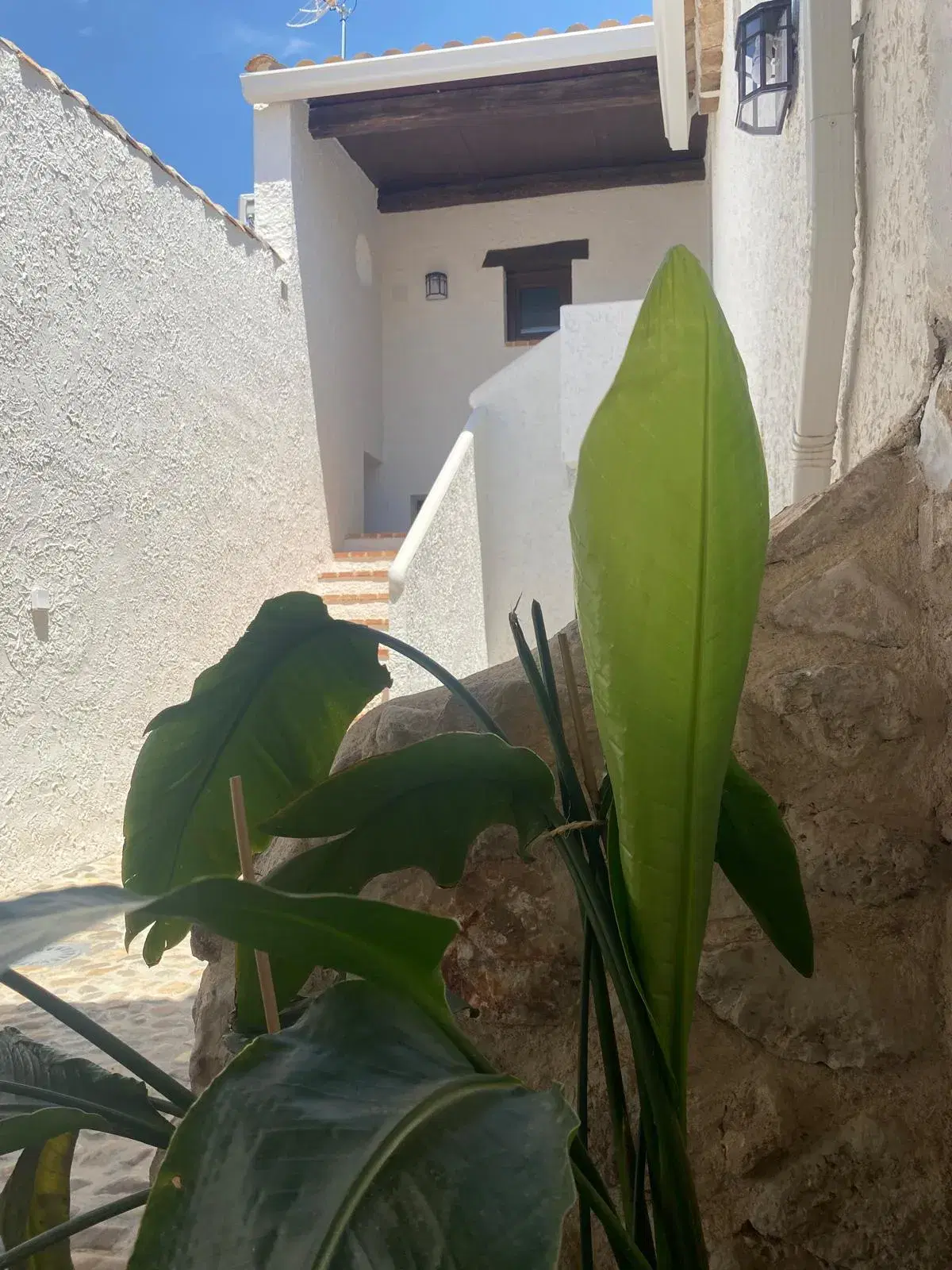 Zonas comunes Casa de Aldonza 22